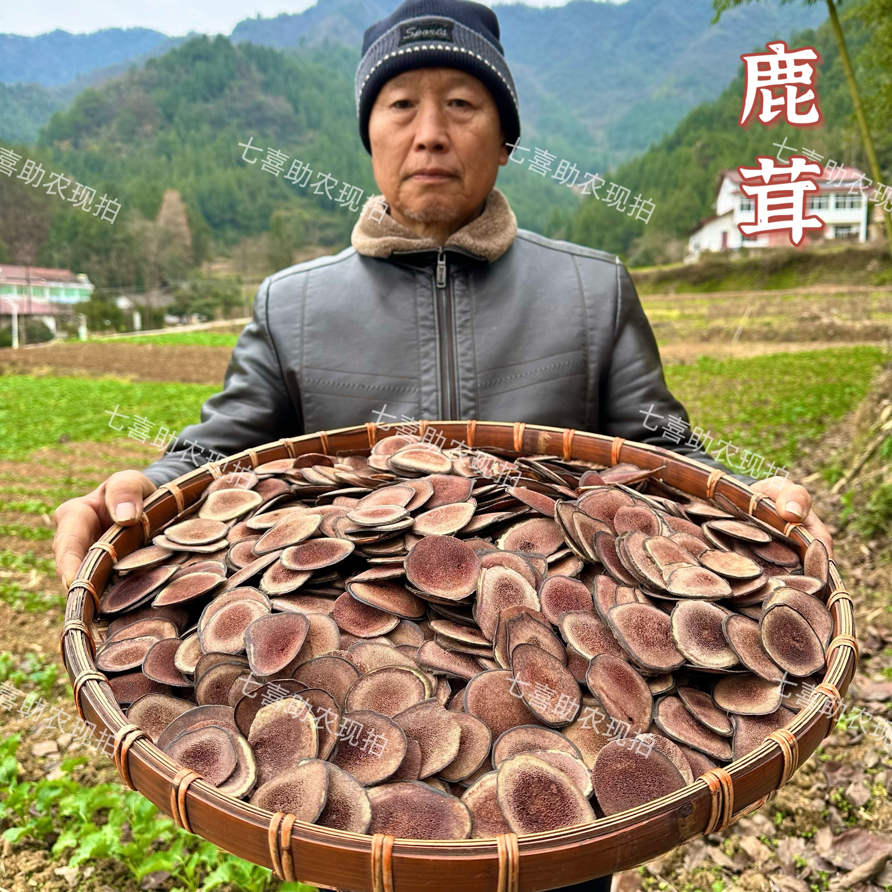 【现收鹿茸】鹿茸片泡酒煲汤