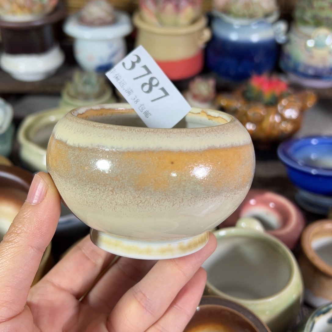 红陶景德镇陶瓷……