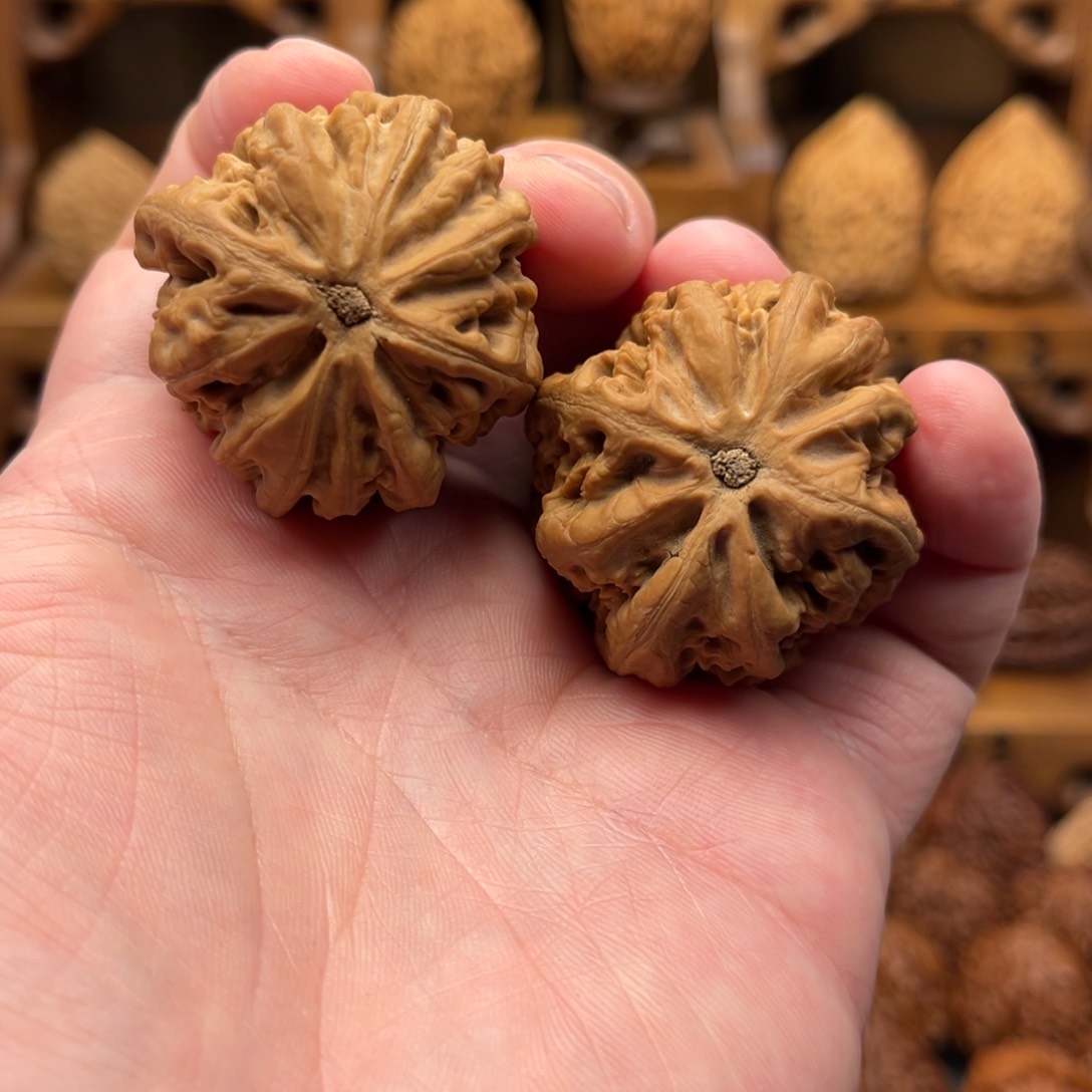 文玩核桃吊坠用****秀MYDD大尺寸