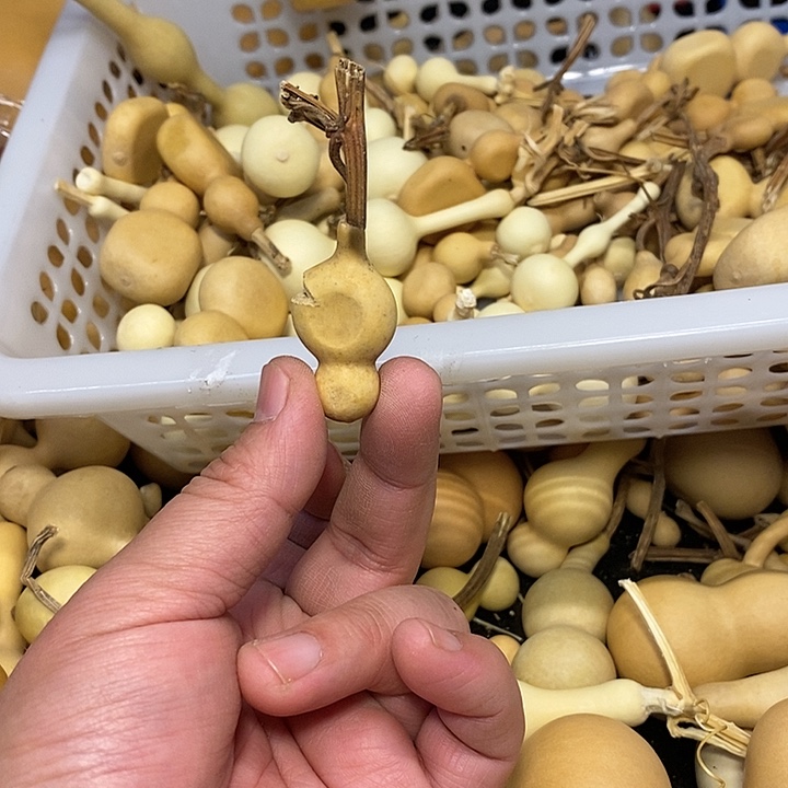 莎*精品葫芦手把葫芦65