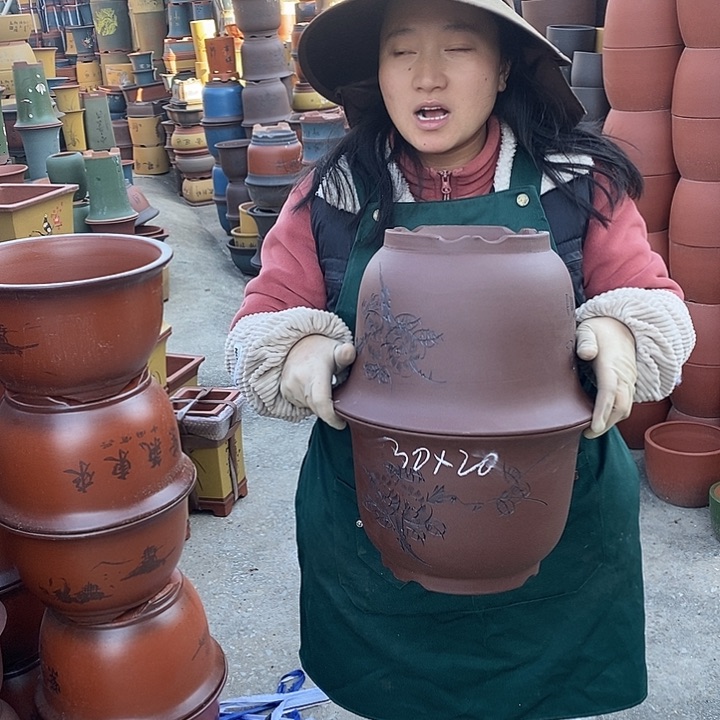 紫砂花盆盆栽花卉苗木种植