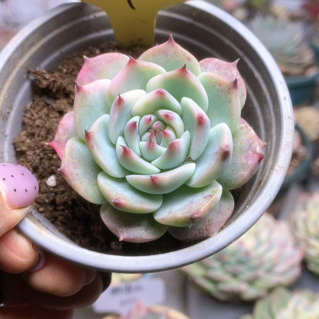 164哈哈哈哈哈哈哈哈