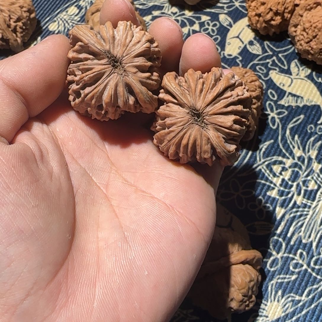 轰*哈哈哈哈哈哈哈哈哈哈哈