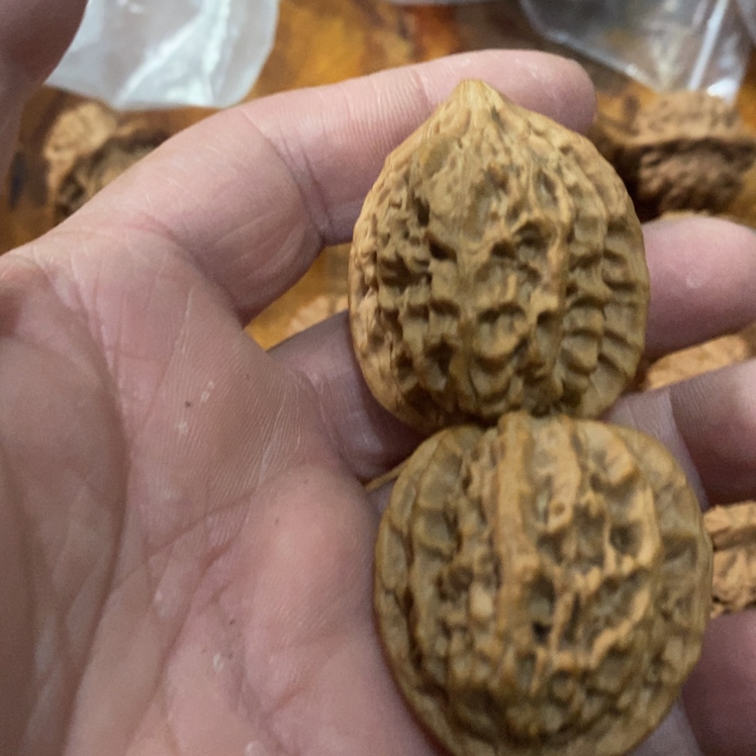 秦岭南侧与黄河北岸有