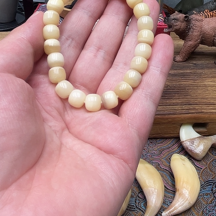 橄榄核手串/手链骨头手串8×8mm