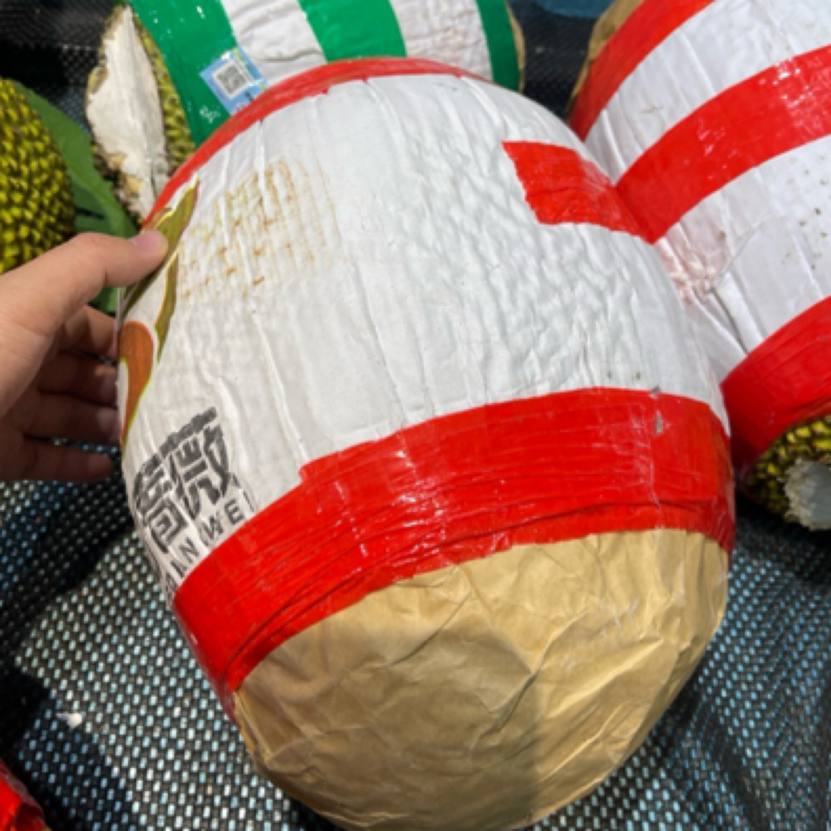 菠萝蜜0.6斤重，海南海南省