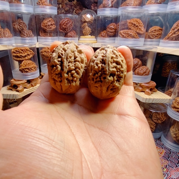 文玩核桃把件珊瑚纹