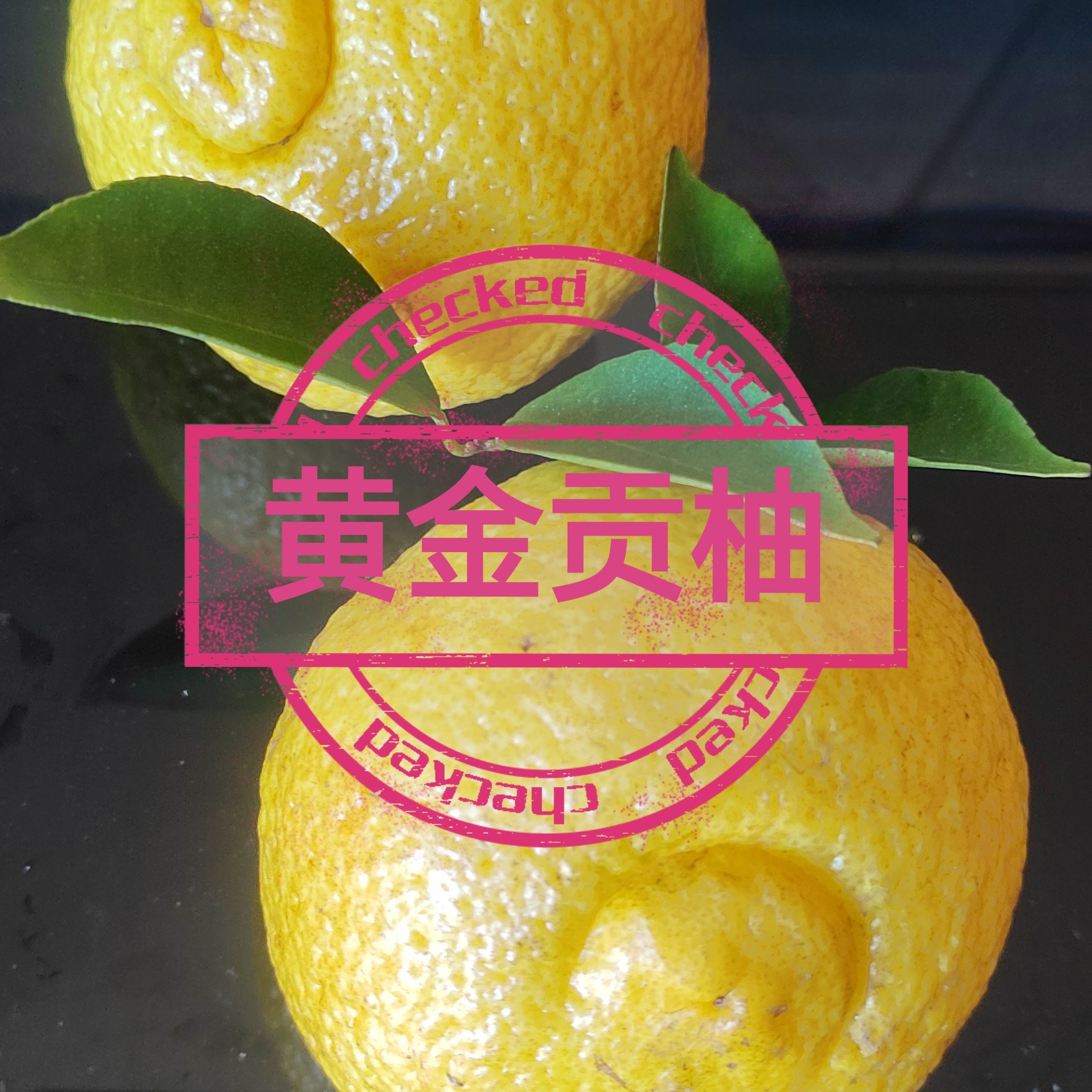 黄金贡柚果肉饱满脆嫩，汁水丰富，类似柑橘但又有淡淡的柚子香味。
