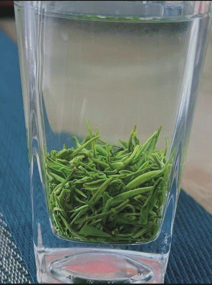 三峡 邓村 绿茶 芽毛尖   浓香耐泡 回甘持久 70%芽