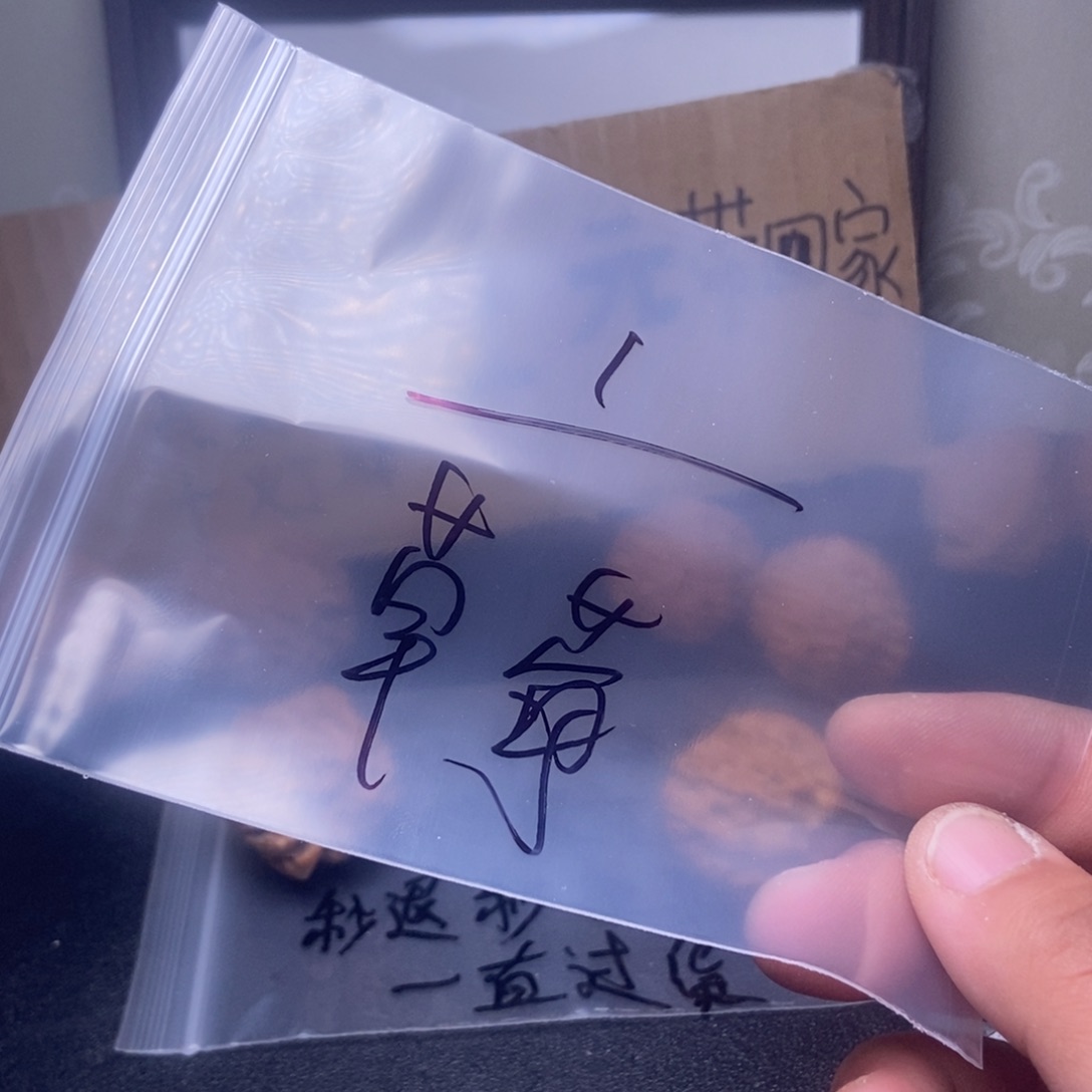 *****吊坠文玩核桃核桃