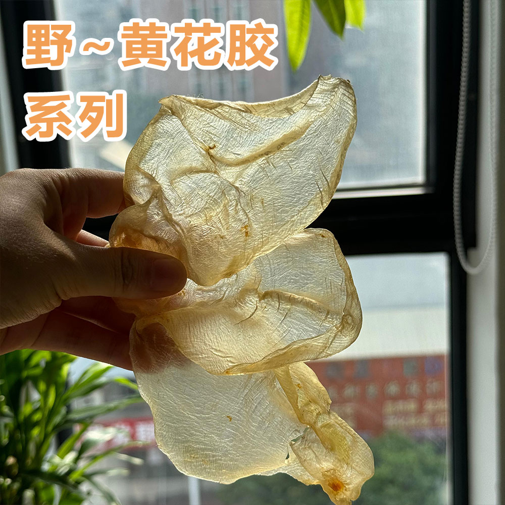 宝润滋补堂咸水黄花胶甲肚鱼胶花胶干货正品滋补孕妇老人小孩