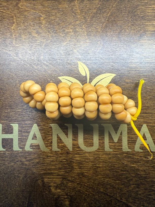 龙脊菩提蒜瓣大肠8mm（有缩尺）