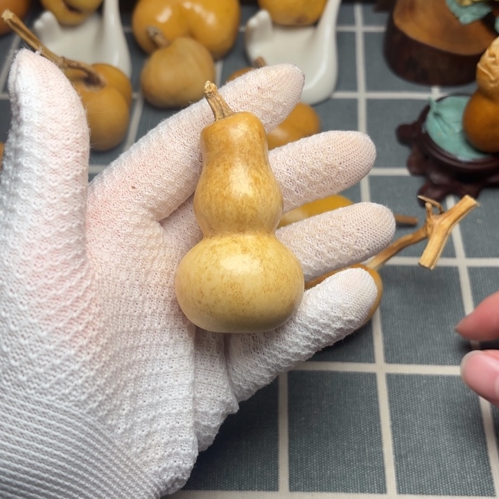 用***愿葫芦色差霉葫芦66666666666
