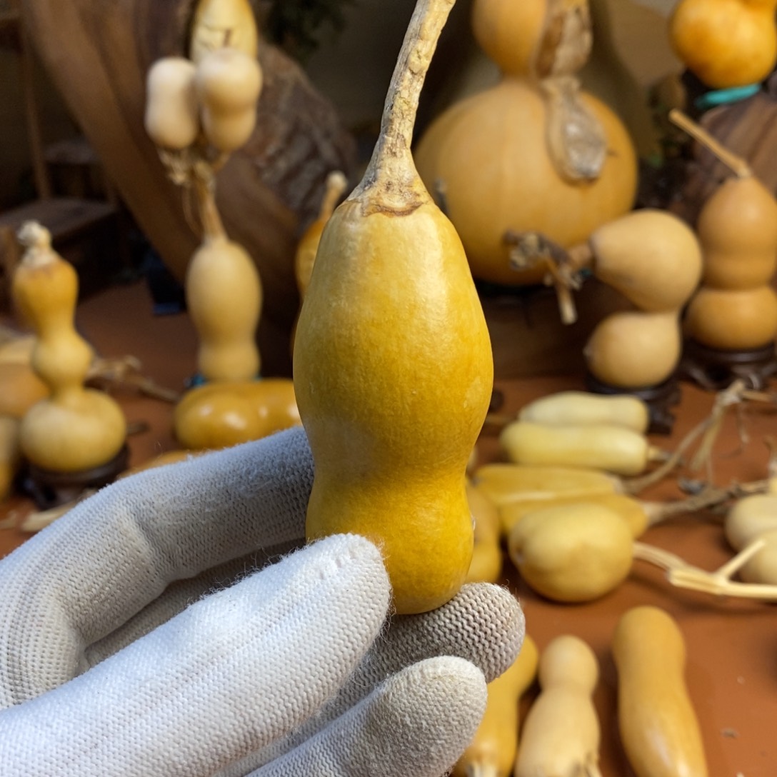 秦***哥兔兔兔兔教练教练咯