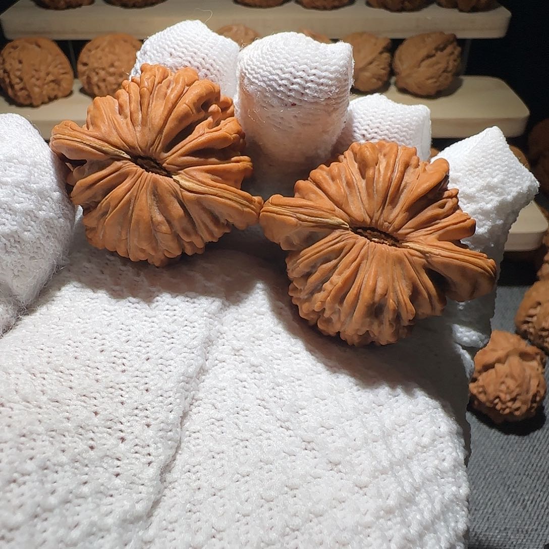 浊***£文玩核桃吊坠南瓜楼