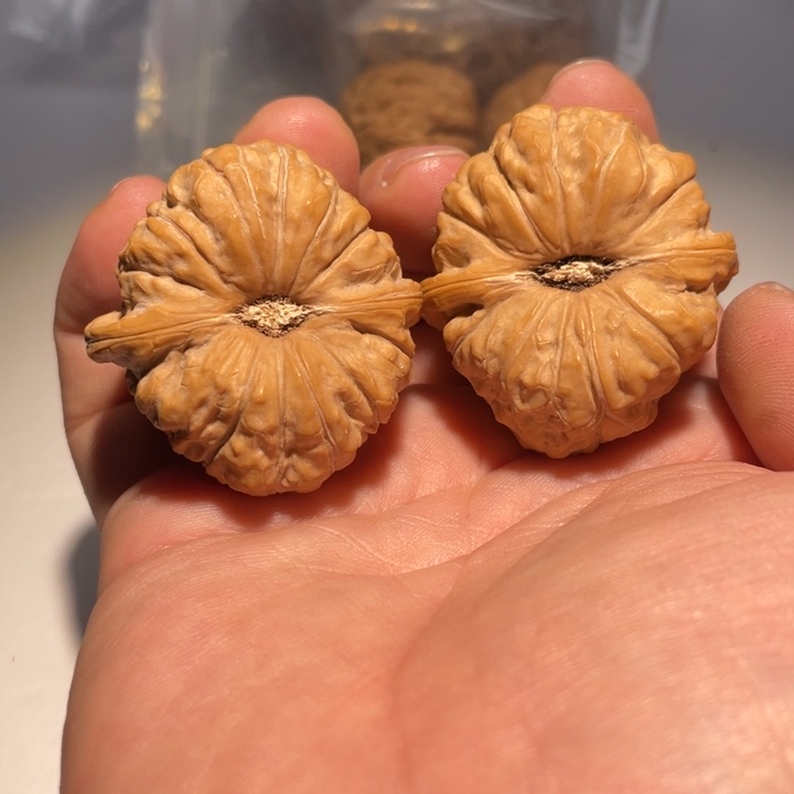 文玩核桃把件南瓜