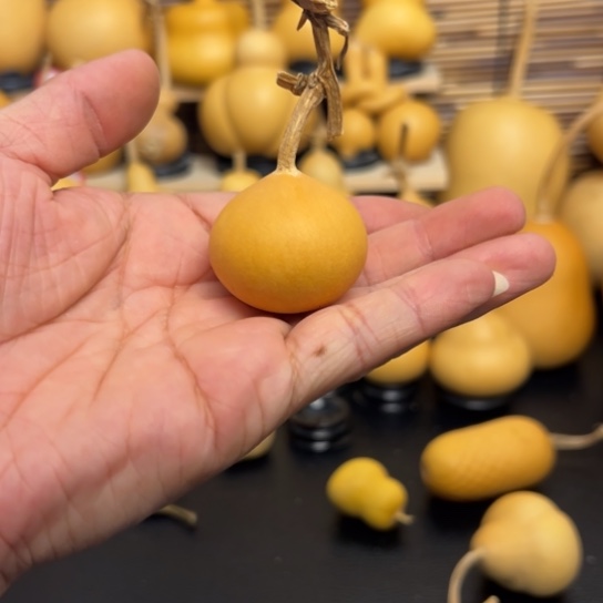 Z*?15988998526889999