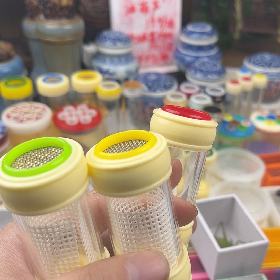 三个小竹蛉桶三断须柬竹