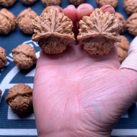 橄榄核手串/手链野生39