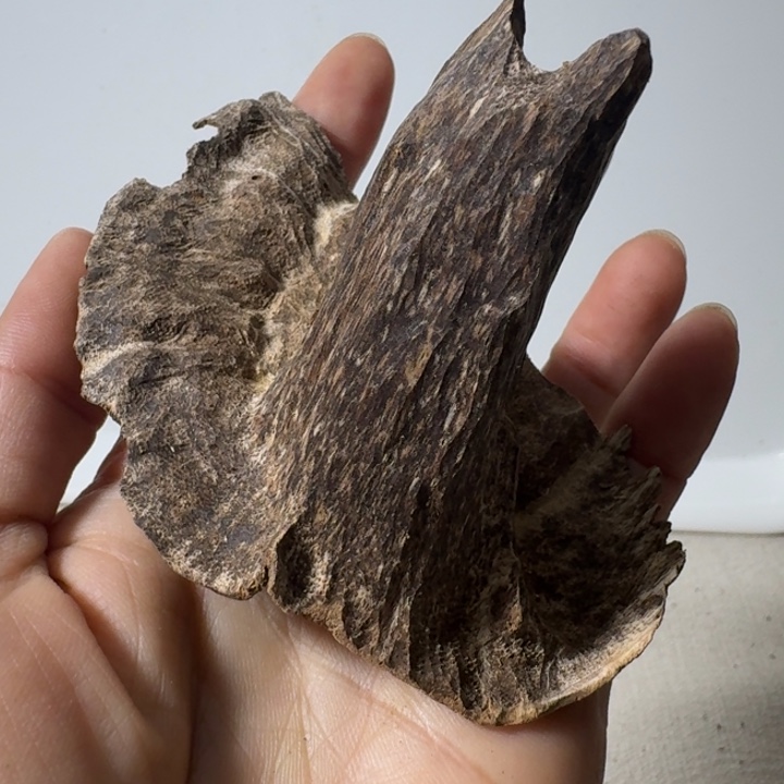 香榧木薰香海南块料12.9克