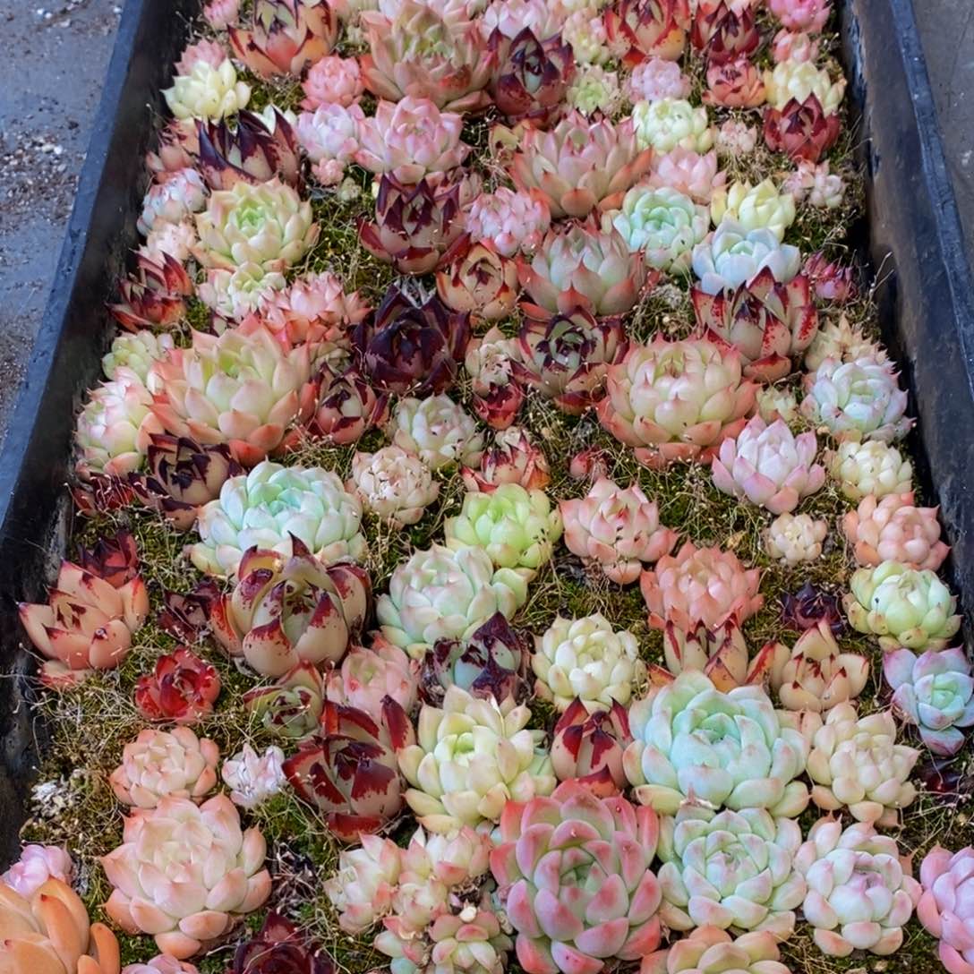 794的人生态度是如此美好