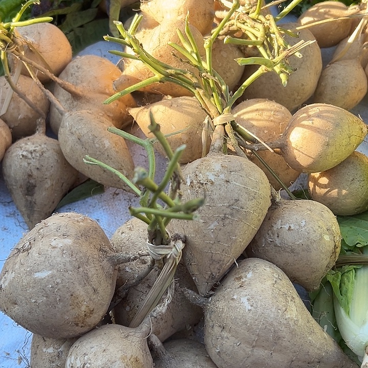 云南傣家生态地瓜5斤