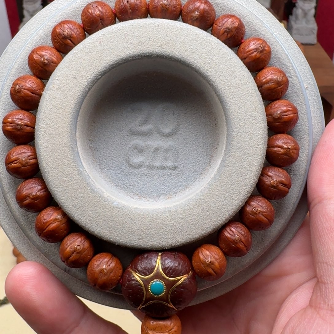 凤眼菩提吊坠10尺寸实心籽（回血）