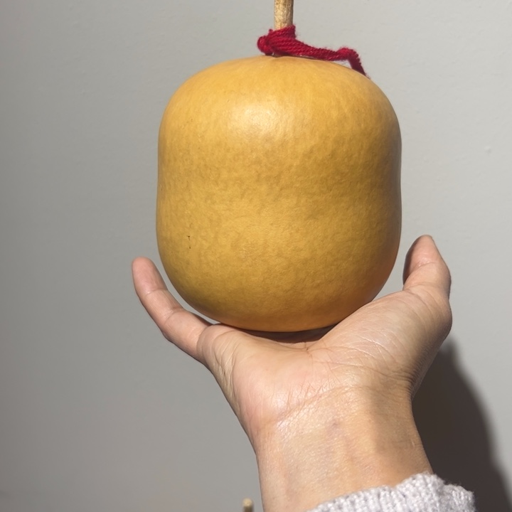 阿***力天然新皮保定墩葫芦