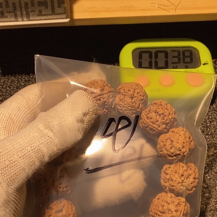 蝎***莱金刚菩提吊坠不能给孩子买什么了