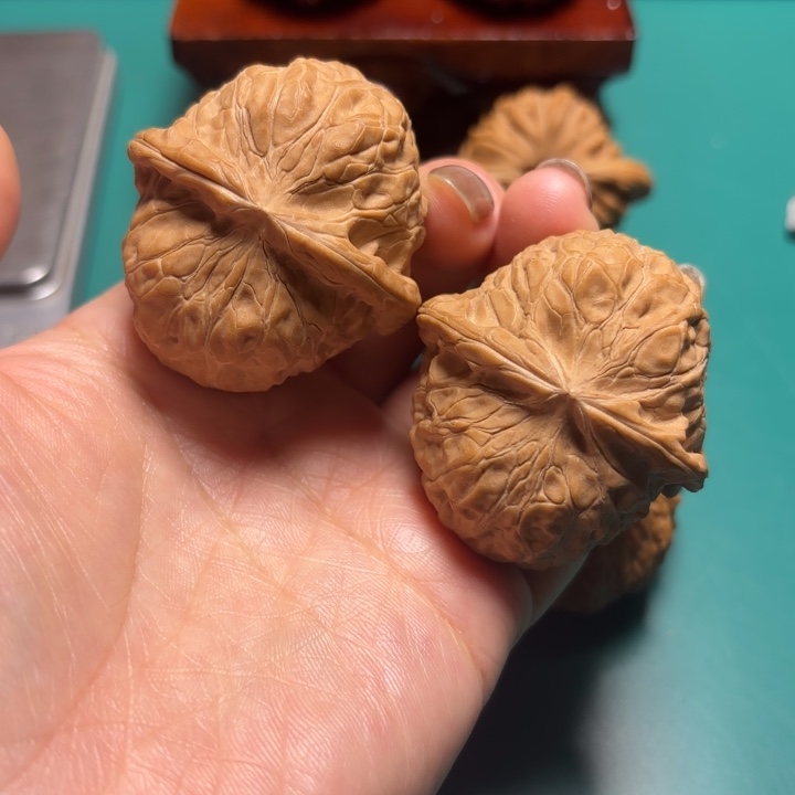 核桃43尺寸南瓜墩