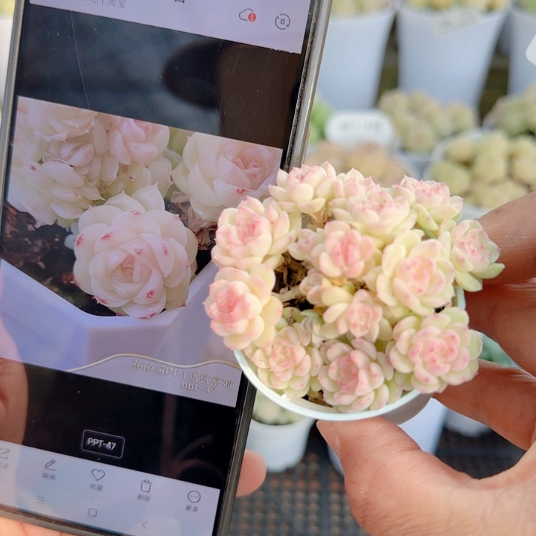 1202-127（ppt-47）优选