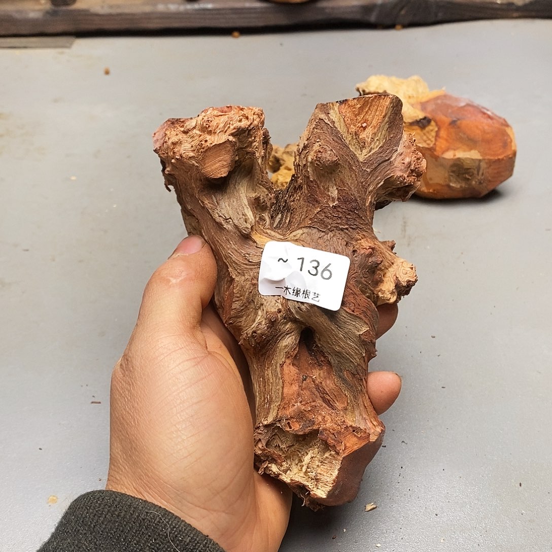 托***斯无花朵           136