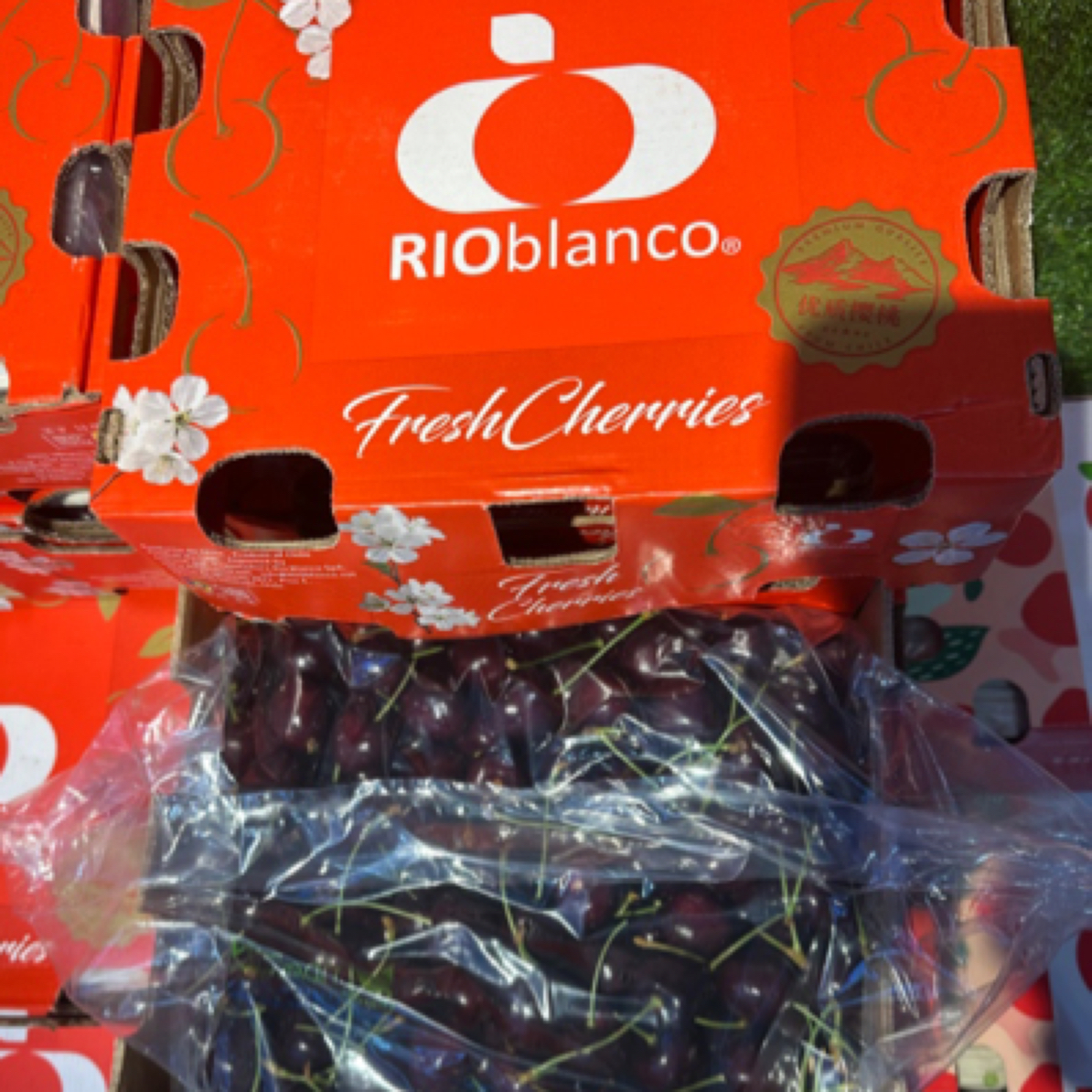 智利瑞吉娜2JDD车厘子一箱 5斤