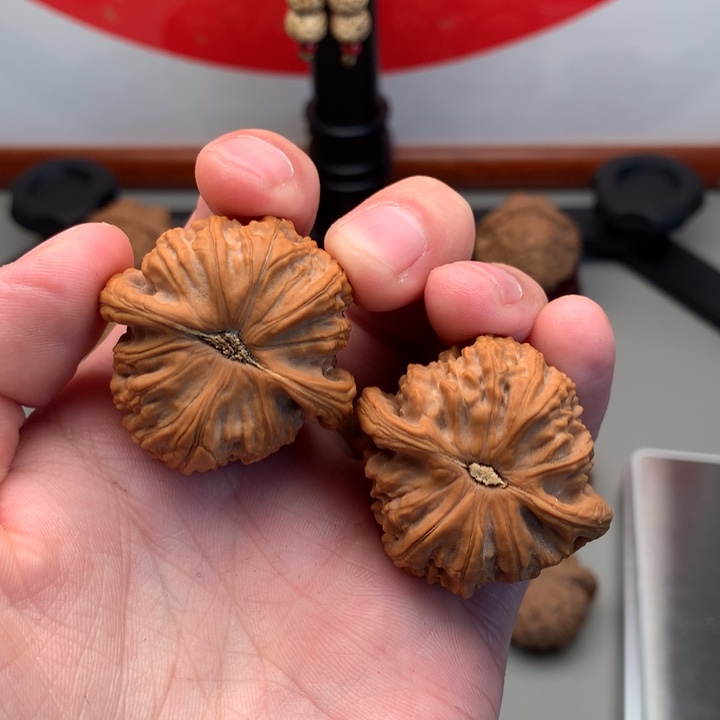 桃核把件嘿****?38精品白狮子