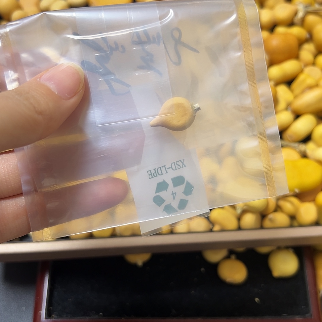 嘉***子葫芦葫芦葫芦葫芦
