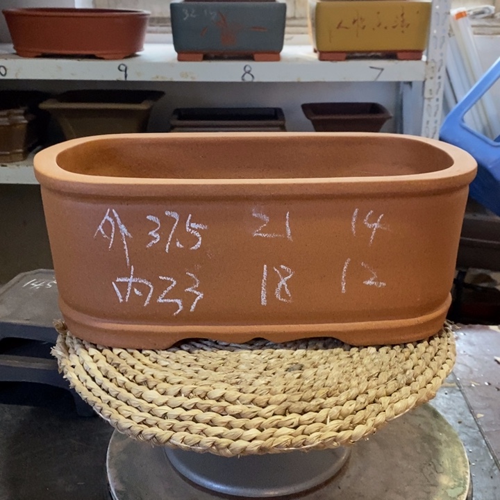 紫砂花盆只顾看手机