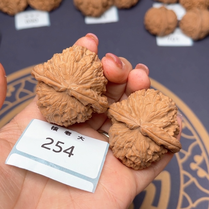 文玩核桃把件43白狮子 254
