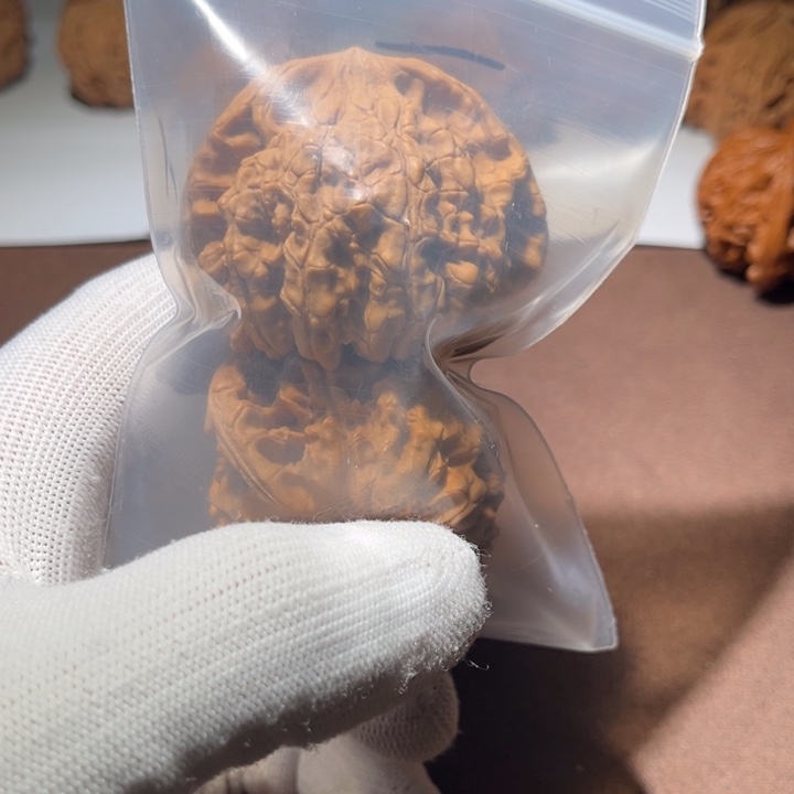 全品大官51尺寸的