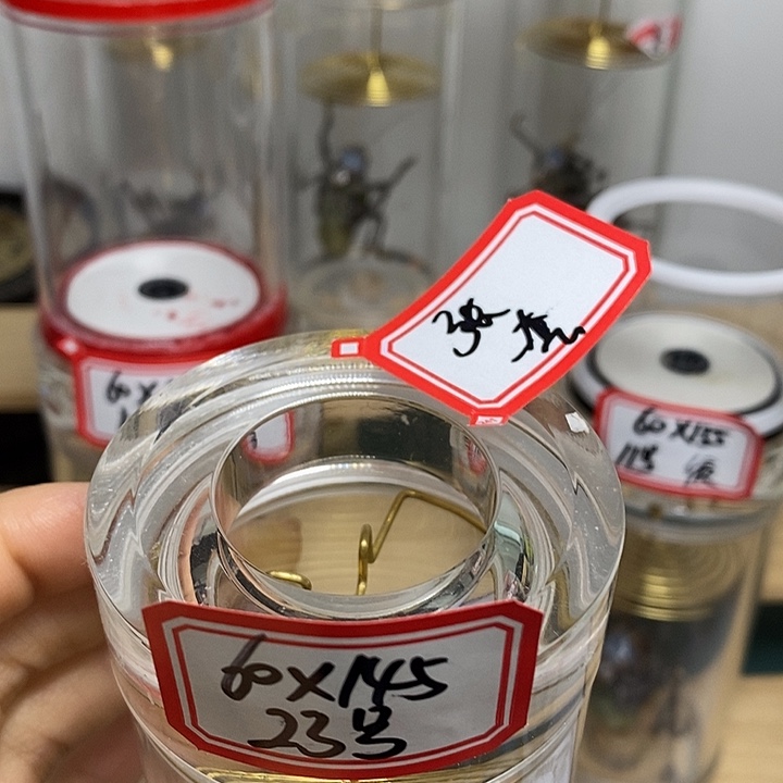 蝈蝈60-145一套张