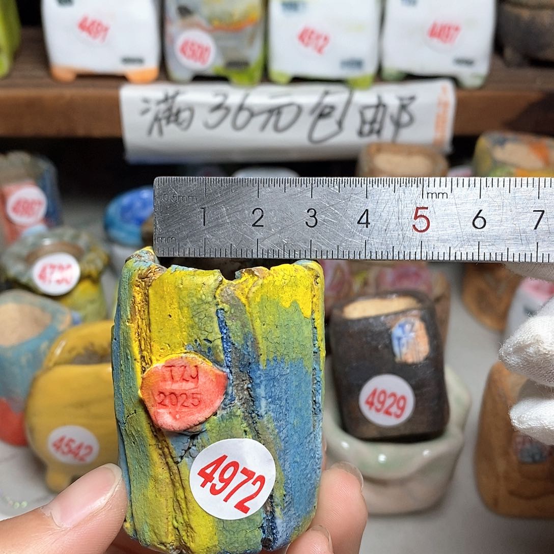 红陶拍5送一个小