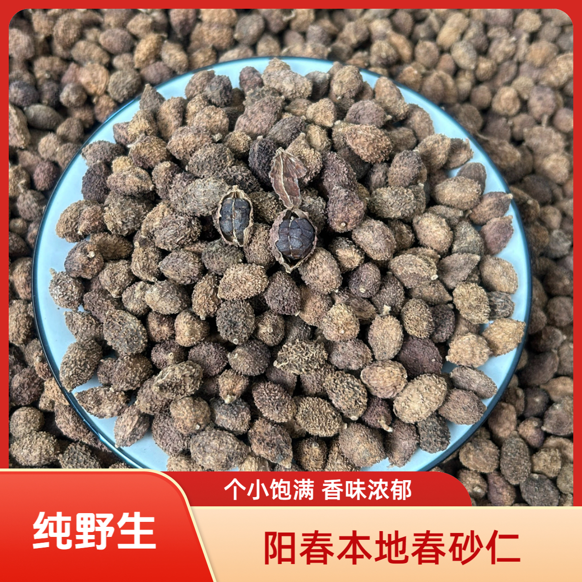 阳春春砂仁传统碳烘小野果个小味浓碳烘砂仁阳春产地直发