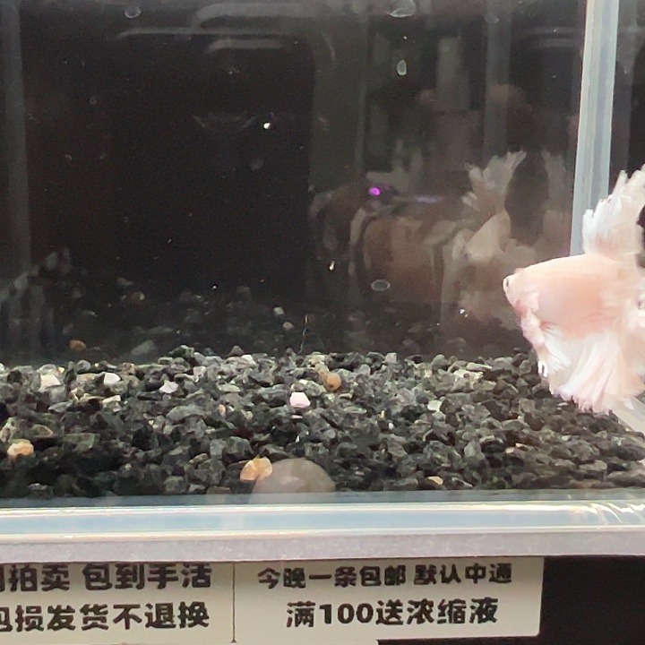 斗鱼跑单拉黑3日82