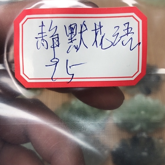 蛇纹石玉颈饰合金静****⁹