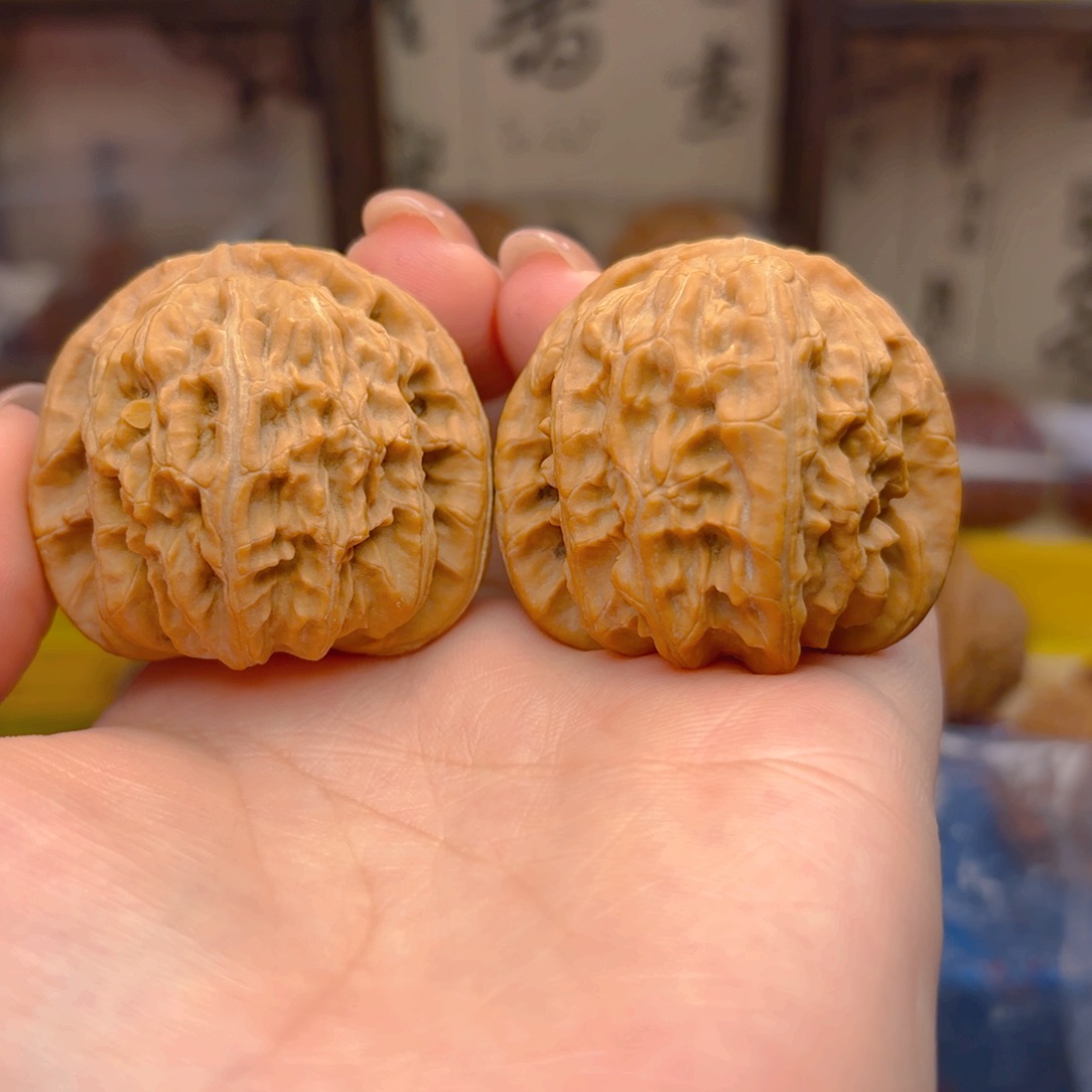 鹏***白狮子头四十一尺