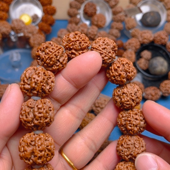 金刚菩提手串v2576/20/5