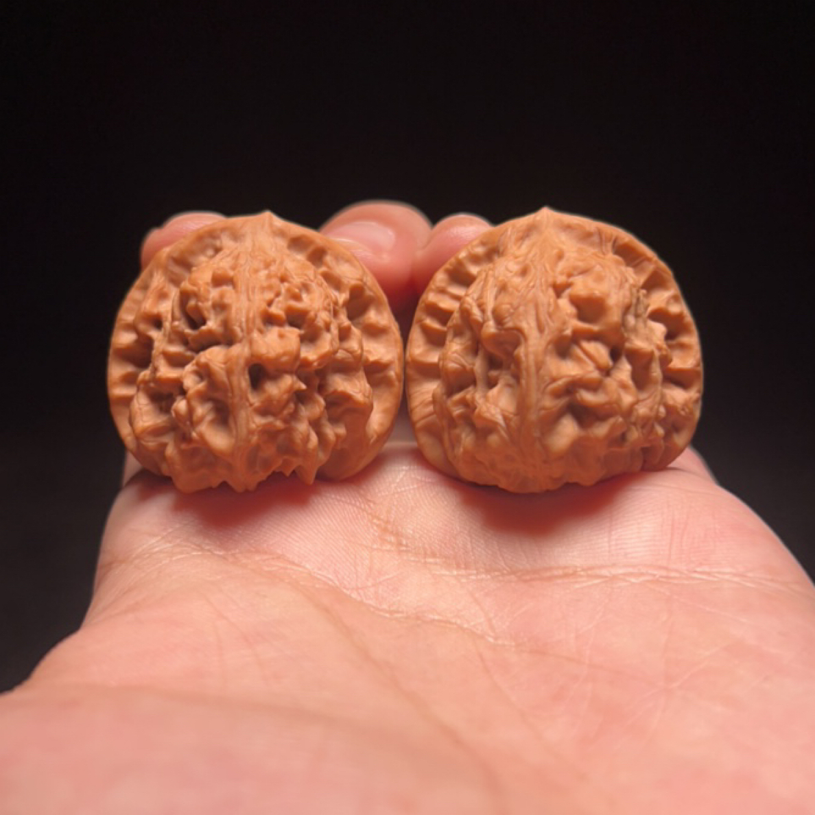 文玩核桃 蓟县红马蹄 12632号 36尺寸