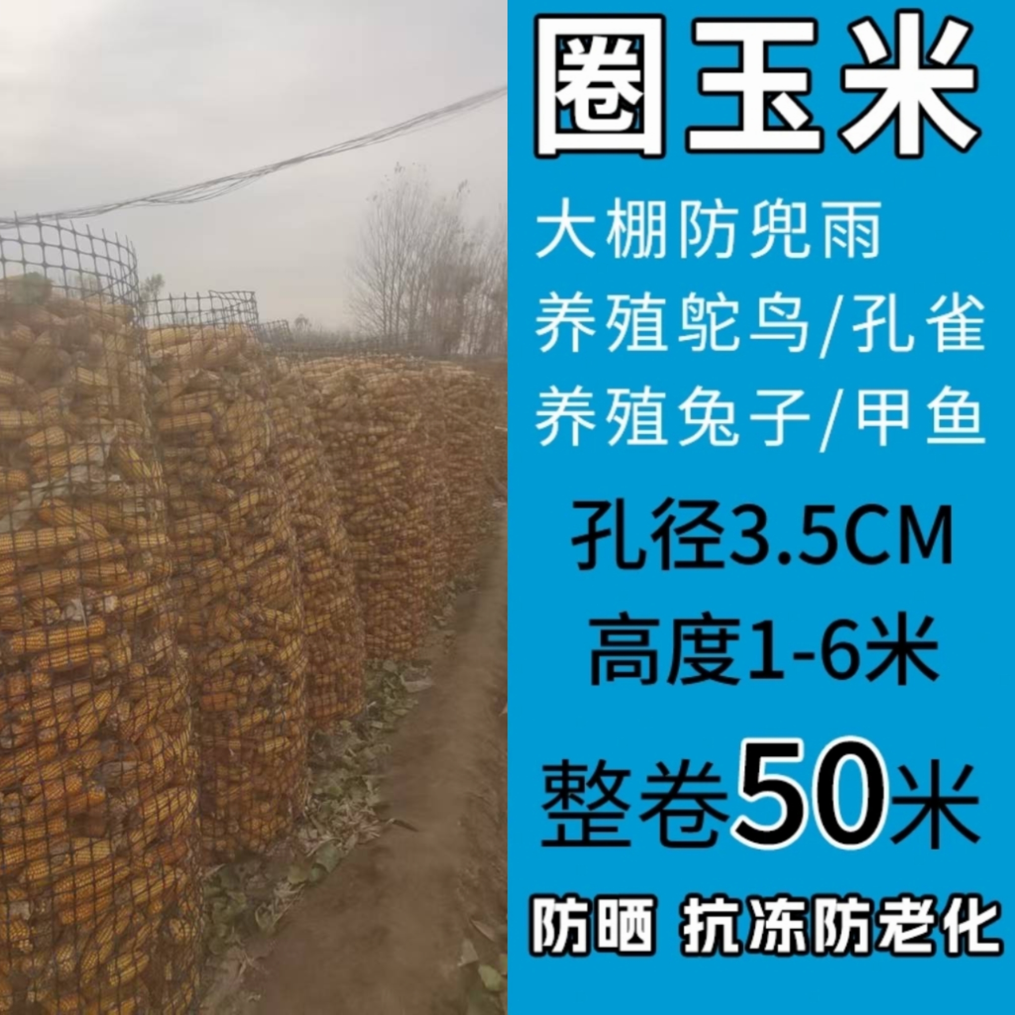 特厚塑料养殖网养鸡圈地围栏网菜园果园防护网方格网拦鸡鸭围网