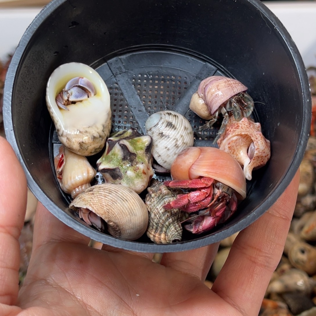 小***度哈哈笑不出话就笑道哈啊