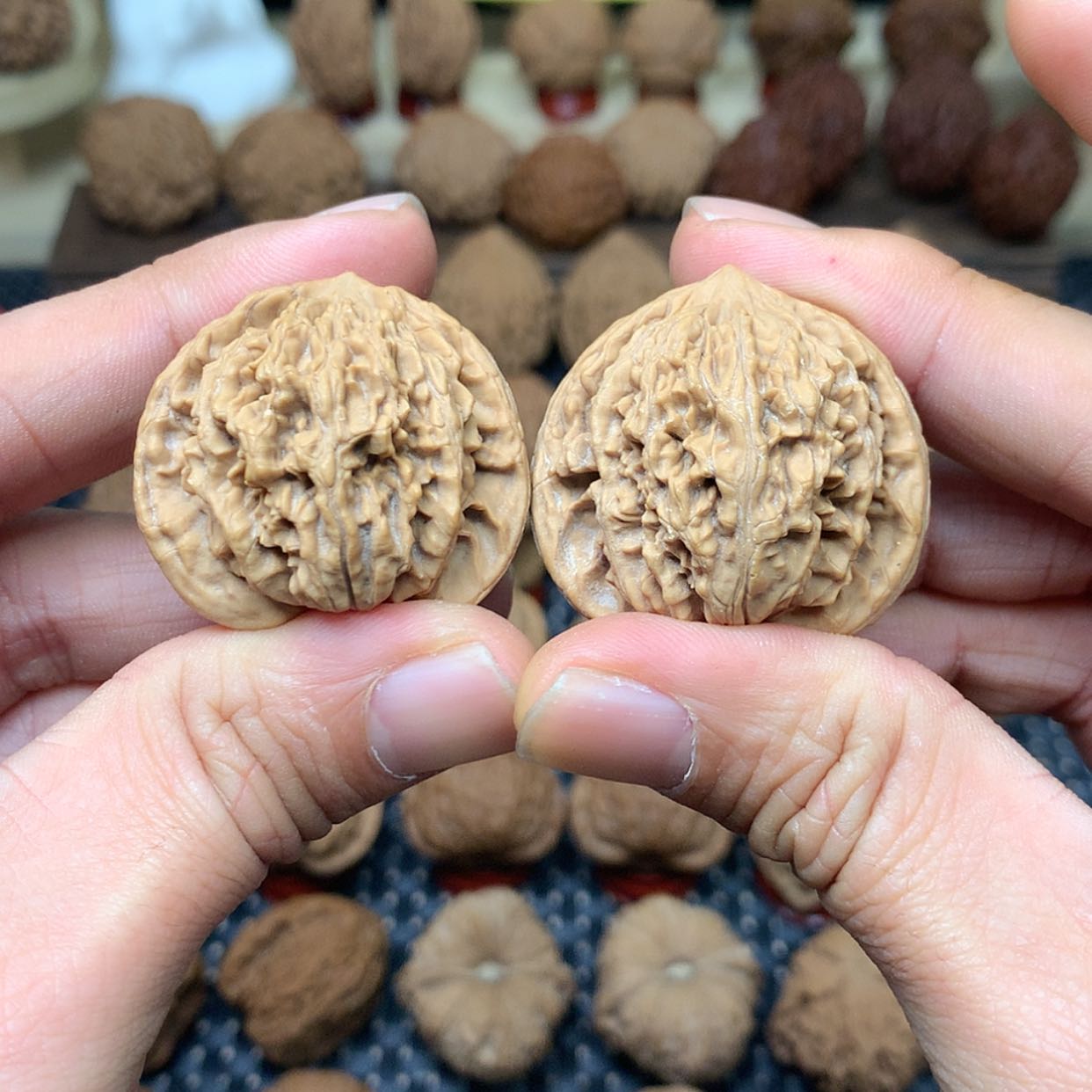 【闪购商品】文玩核桃把件大*-全品野生雪花龙尊36.5狮子头