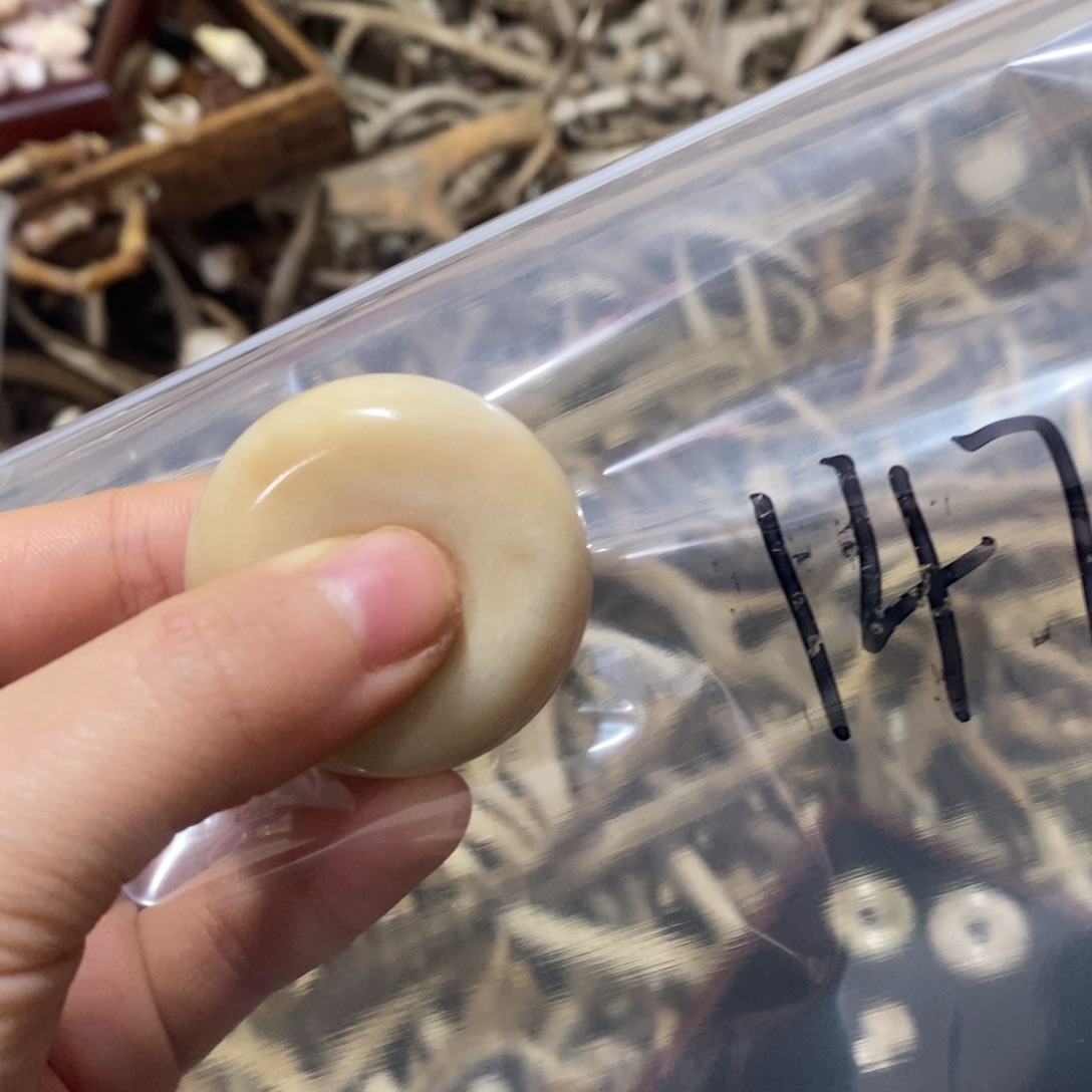 追***寻非金属鹿角鹿角鹿角